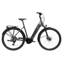 Bicicleta Giant DailyTour E+ 2D LDS