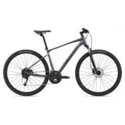 Bicicleta Giant Roam 2 Disc 2021