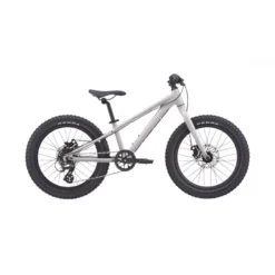 Bicicleta Giant STP 20