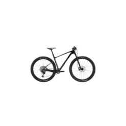 Bicicleta Giant XTC Advanced 1